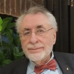 Salomon Strul